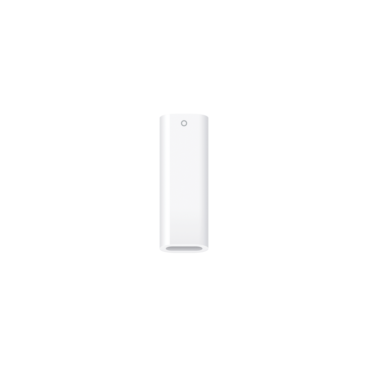 Переходник Apple USB-C — Apple Pencil